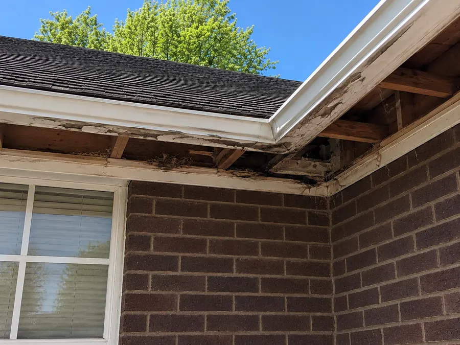 Fascia removed down to the rafters mid-replacement, Vancouver
